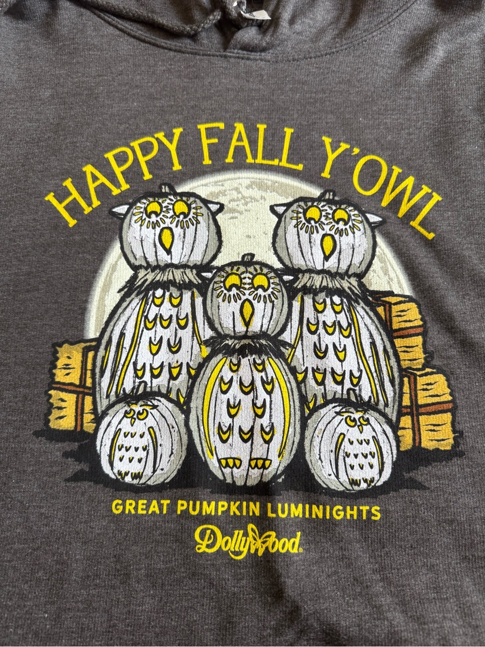 Dollywood “happy fall y’owl” hoodie